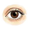 eye