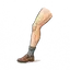 Bein